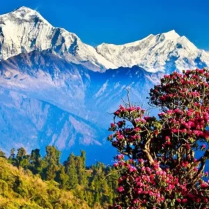 Nepal